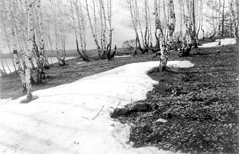 ������.���� ���������� ��������.